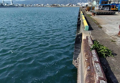 図3　垂直護岸。海岸線が人工化されることでアユの保育場が消失する