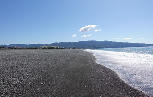 図5　アユの保育場となる砂浜海岸