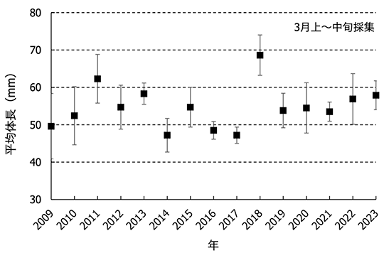図3　奈半利川で3月上中旬に採集した稚アユの体長。バーは標準偏差